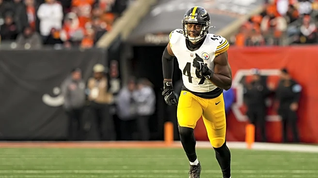 Report: Steelers poaching Panthers OLB