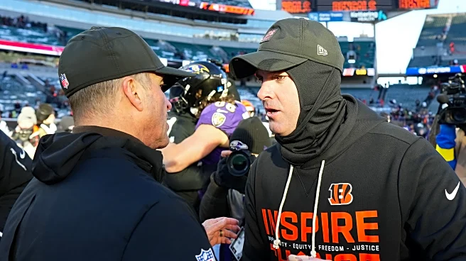 Bengals Podcast: (Screams Incoherently)