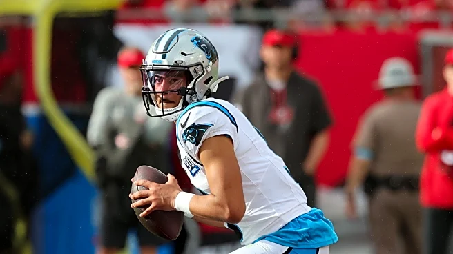 Panthers vs Buccaneers: Offensive Preview