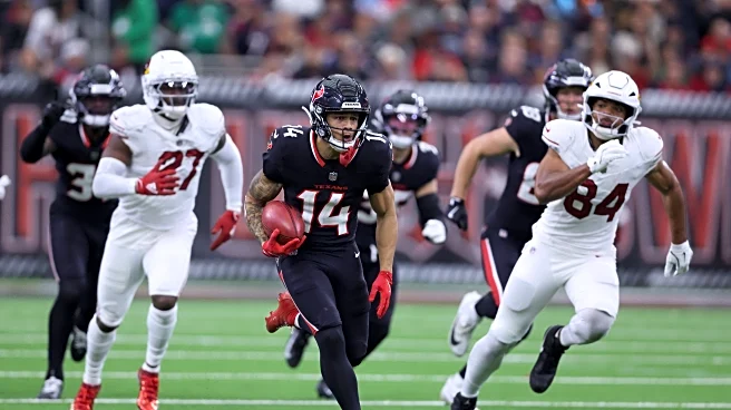 Houston Texans statistics: Jayden Higgins, Jaylin Noel vs. Cardinals