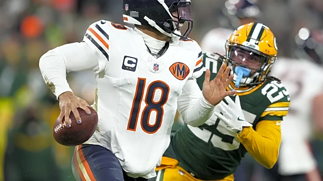 Bear Bones: Getting you ready for Bears vs Packers Part Deux