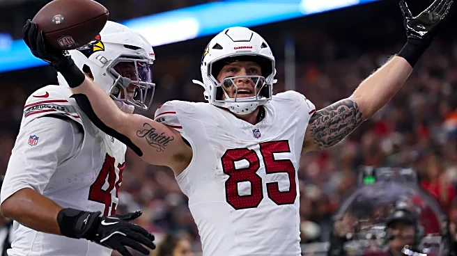 Cardinals Trey McBride sets two NFL records