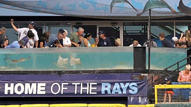 Raiding the Rays and Red Sox