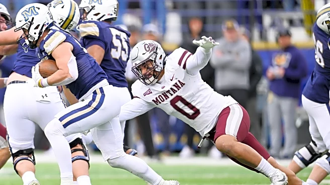 FCS Semifinals – Montana Grizzlies @ Montana State Bobcats: How to Watch, Preview, Prediction
