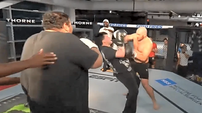 Watch Sean Strickland beat up three influencers at once