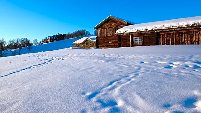 The Link Farm: 12.19.2025