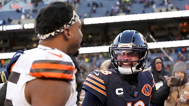 Benchmarking Da Bears: Week 15