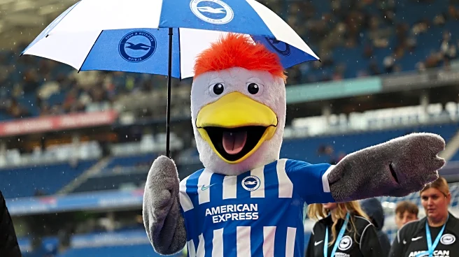 Score Predictions: Sunderland Away At Brighton – More Points For Christmas?