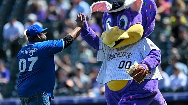 This Week in Purple: It’s the Holiday Season