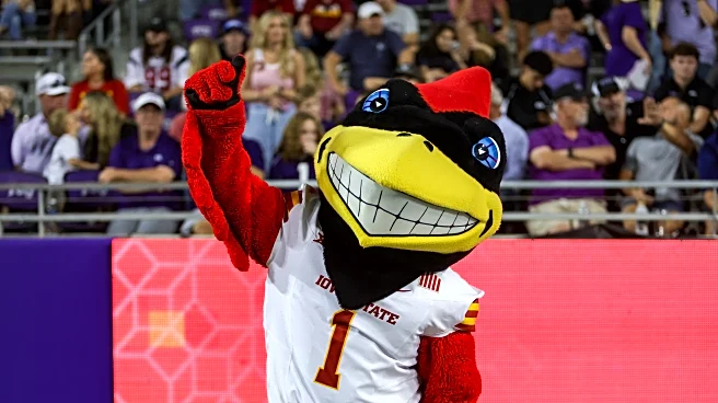 Wide Right & Natty Light is looking for a new site manager and writers