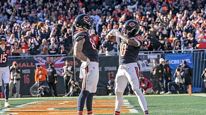 Did the Bears Draft the Right Tight End After All?