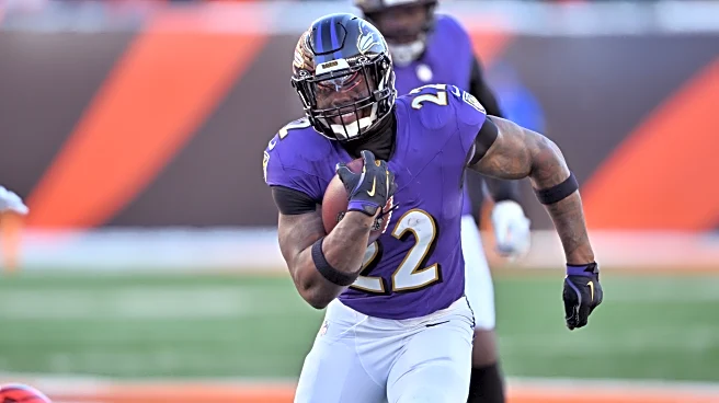 Baltimore Ravens vs. New England Patriots: Bold Predictions