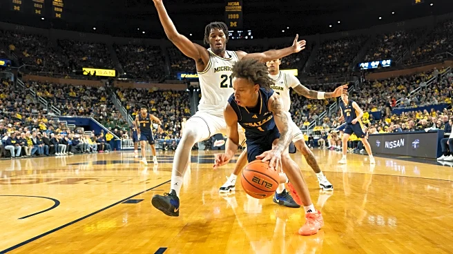 Michigan Basketball blows past La Salle, 102-50, to move to 11-0