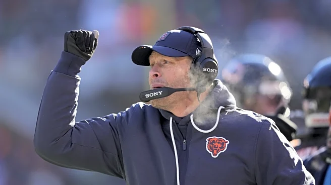 Bears clinch playoff spot for first time since 2020