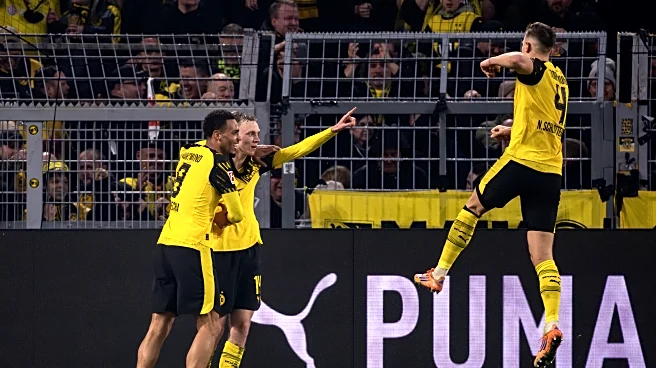 The Daily Bee: Winterpause