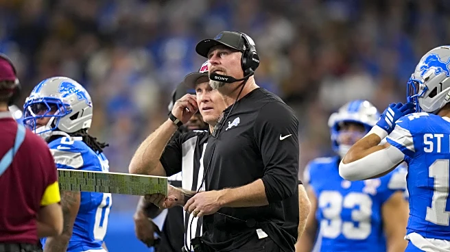 Lions, Steelers Week 16 snap counts: Personnel adjustments fail to produce results