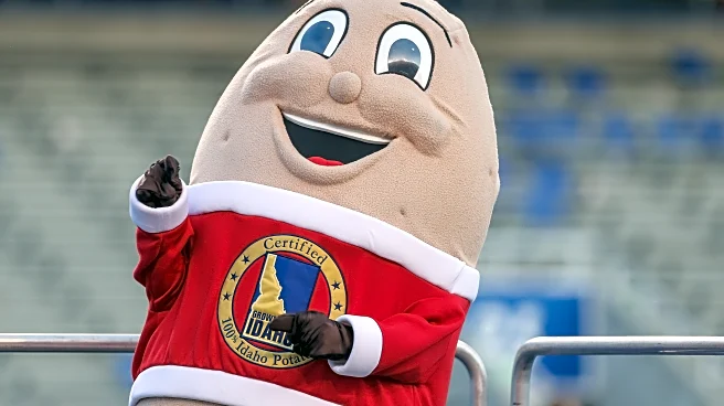 Mountaintop View 12-23-25