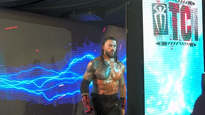 The Roman Recession: 2025 was a down year for the Tribal Chief