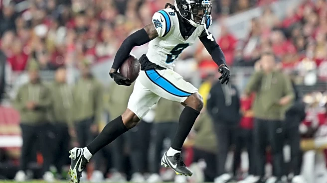 The Carolina Panthers have one Pro Bowler