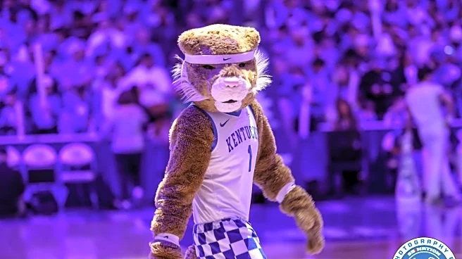 Highlights, MVP, and Twitter reactions to Kentucky’s fun win over Bellarmine