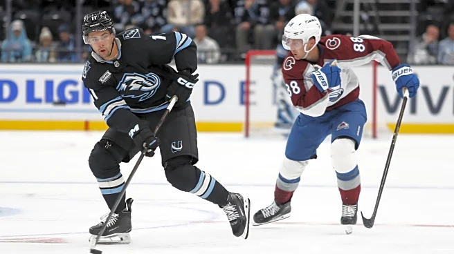 Open Thread: Colorado Avalanche vs. Utah Mammoth (7:00 p.m.)
