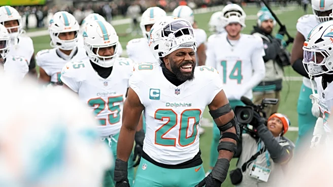 Fins Up, Fins Down | Week Sixteen