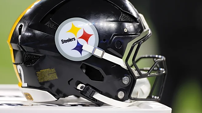 Steelers sign veteran wide receiver after DK Metcalf suspension