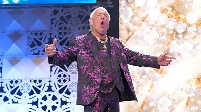 Ric Flair’s Cameo videos go viral amid mixed reviews