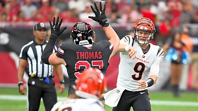 Bengals vs. Cardinals game time, TV channel, online stream, odds, and predictions