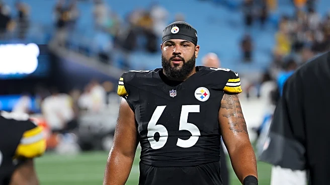 Steelers release DT to make room for new WR