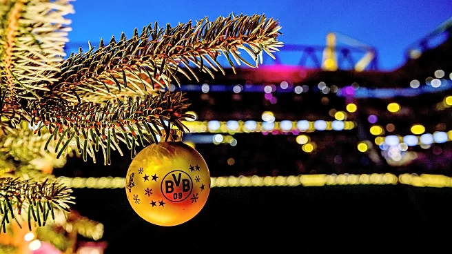 The Daily Bee: Merry Christmas from Fear the Wall!