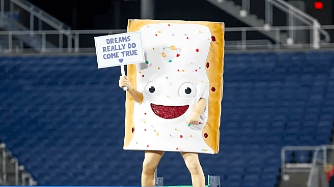 Georgia Tech Football: Things I Think I Know – BYU