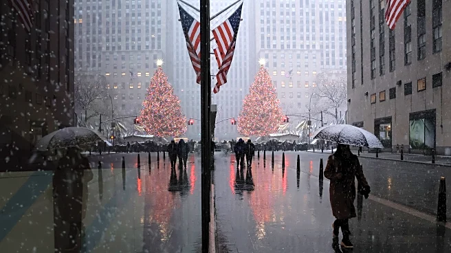 Snake Bytes 12/25: Merry Christmas!