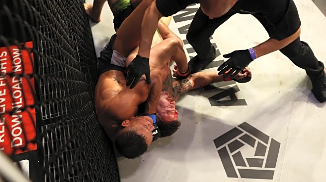 MMA Fighting’s 2025 Submission of the Year: Costello Van Steenis vs. Johnny Eblen