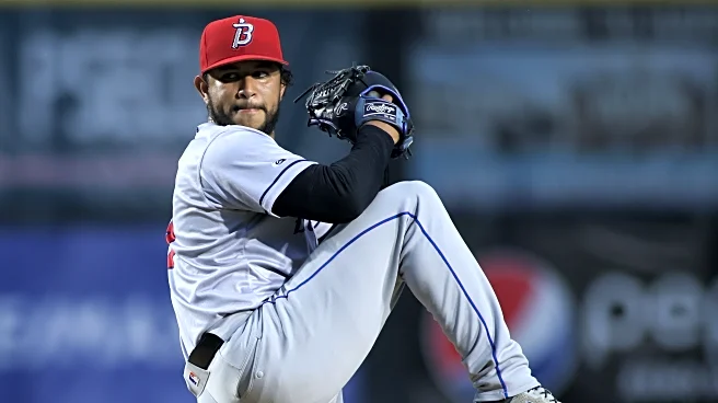 2025 Mets Minor League In Memoriam: Left-Handed Pitchers