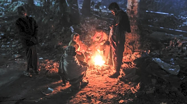 Who on Bayern Munich would survive Survivor?