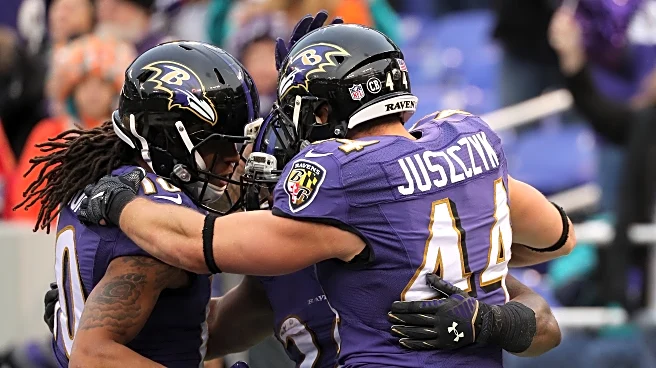Golden Nuggets: Go Ravens!