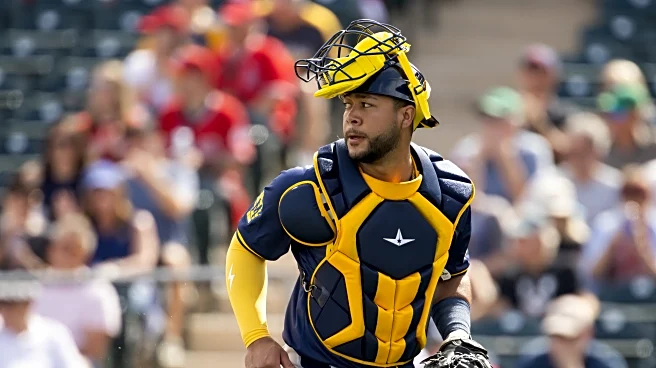 Do the Brewers need to add another catcher before the season?