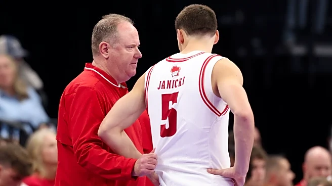 Two Badgers are finally coming out of their shells