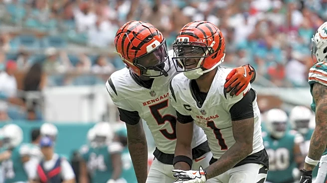 Predict the Bengals’ final record in 2025