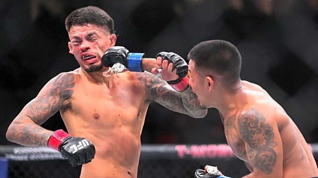 MMA Fighting’s 2025 Fight of the Year: Joshua Van vs. Brandon Royval