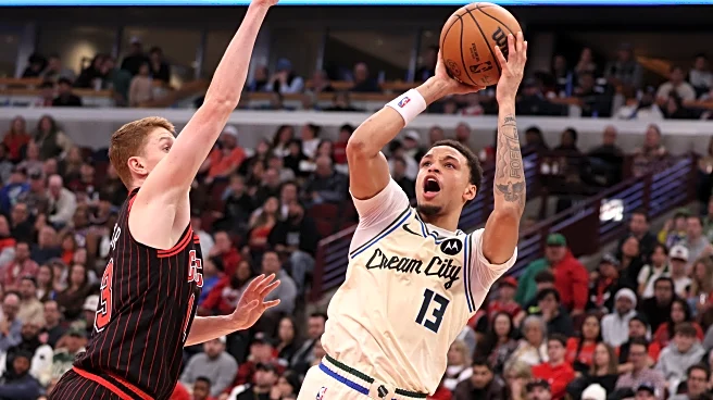 Bucks vs. Bulls Player Grades: Ryan Rollins is clutch in Giannis’ big return