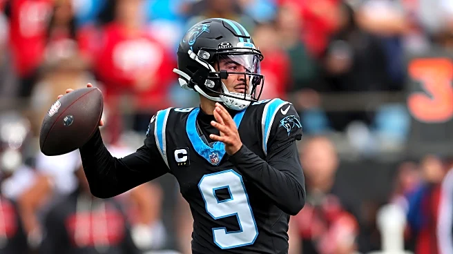 Week 17 game thread: We’re all Panthers fans today