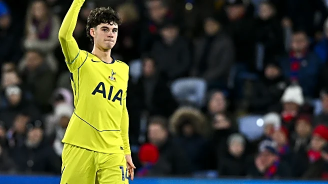 Crystal Palace 0-1 Tottenham Hotspur: Gray shows the way as Spurs win