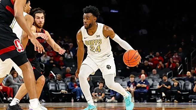 Colorado Buffaloes vs. Northern Colorado Bears – Game Post