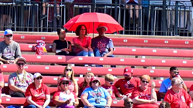 The St. Louis Cardinals Have a Serious Marketing Problem