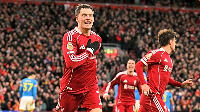 EPL GW-19 FPL Player Picks