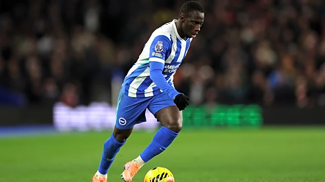 EPL GW-19 Best FPL Differentials