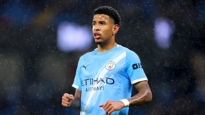 Spurs to target left wing, left back in January transfer window