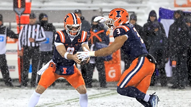Music City Bowl: A look at Illinois